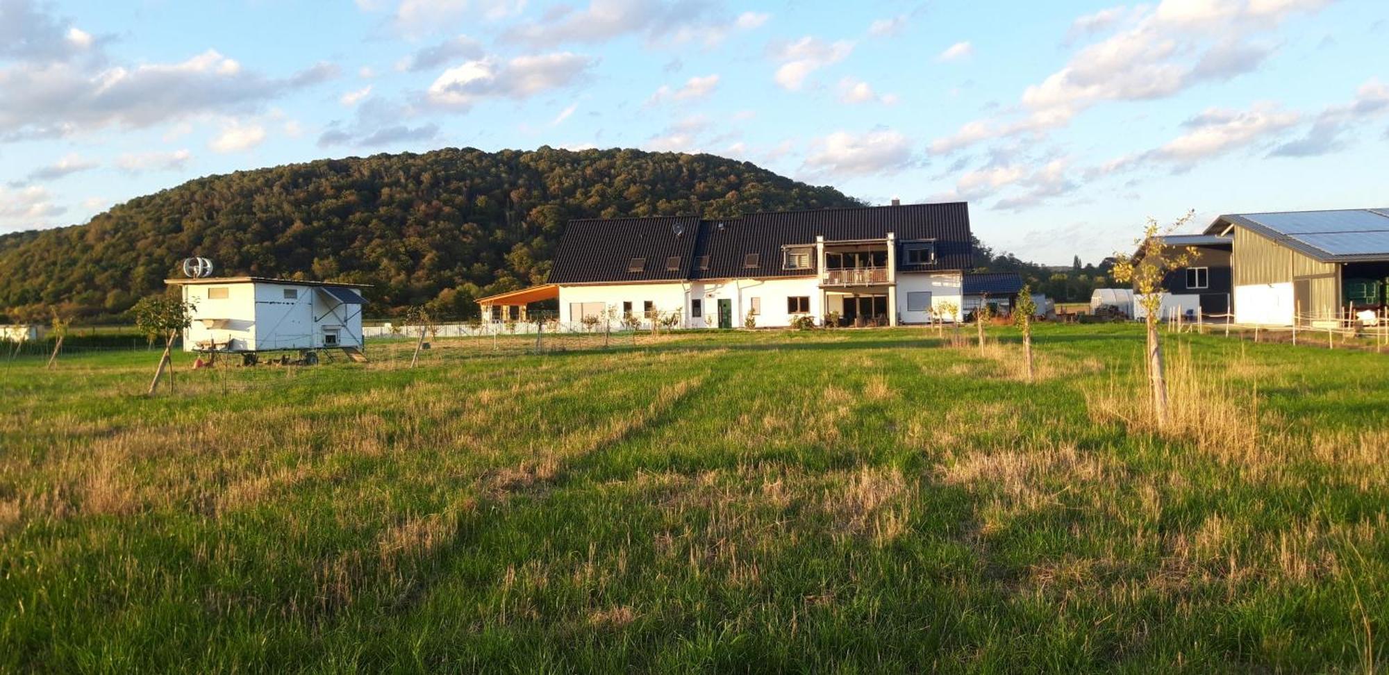 Ferienwohnung Wilhelmshof Sinzig Exteriér fotografie